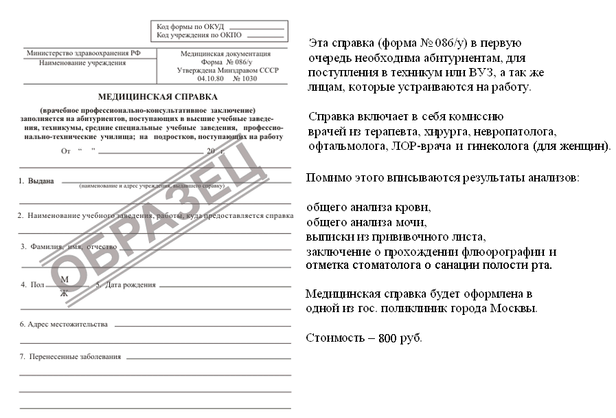 Каких врачей нужно проходить перед поступлением